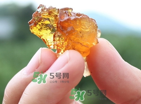 桃膠可以和什么一起煮？桃膠不能和什么一起吃