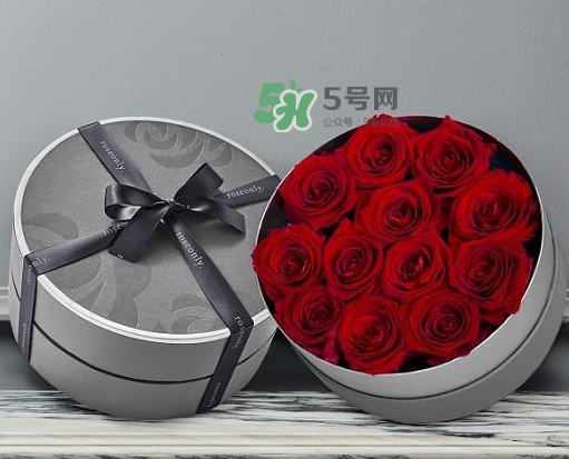 roseonly怎么讀？roseonly怎么讀在線讀？