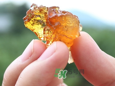 桃膠幾天吃一次好？桃膠最好多久吃一次