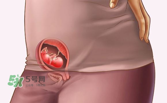 孕期尿頻什么時候開始？孕期尿頻特別嚴重