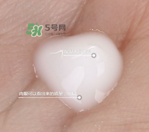 蘭芝新水酷特潤乳霜多少錢？蘭芝新水酷特潤乳霜價格