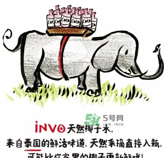 invo椰子水多少錢？invo椰子水好喝嗎？