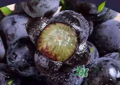 戶太八號(hào)多少錢一斤？戶太八號(hào)為什么在全國(guó)很有名？