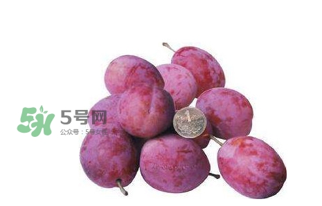 西梅什么時候上市？新疆西梅什么時候上市