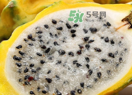 黃龍果的熱量 黃龍果可以減肥嗎？