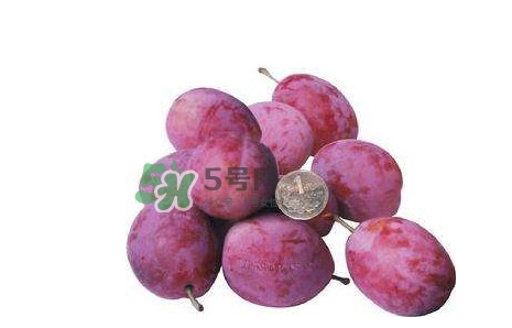 新鮮西梅好吃嗎？新鮮西梅什么味道