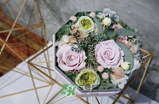 野獸派永生花會(huì)死嗎？野獸派永生花是什么？