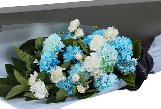 joyflower是哪國品牌？joyflower怎么樣？