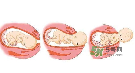胎兒什么時候入盆？胎兒入盆后胎動會減少嗎？