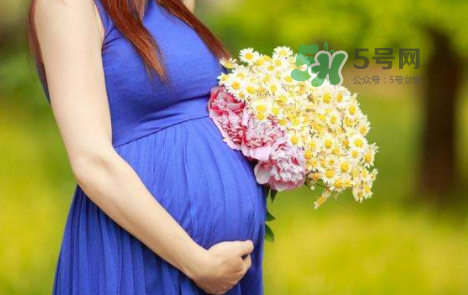 孕婦可以拔牙嗎？孕婦可以拔智齒嗎？