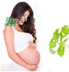 孕婦可以拔牙嗎？孕婦可以拔智齒嗎？