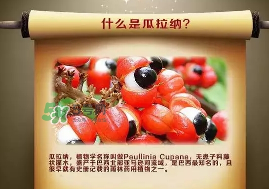 黑卡飲料多少錢一瓶？黑卡6小時價格表