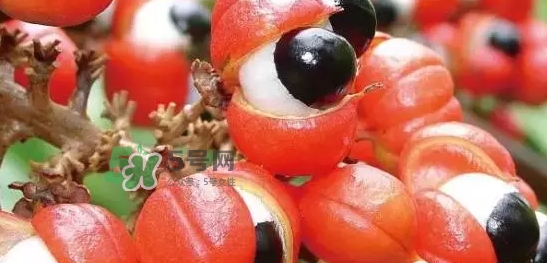 黑卡飲料多少錢一瓶？黑卡6小時價格表