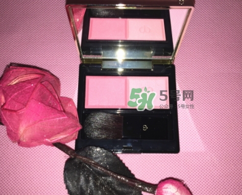 cpb花漾腮紅怎么樣？cpb花漾腮紅多少錢？