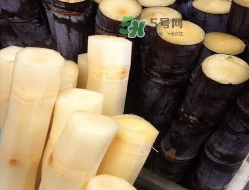 甘蔗是哪里的特產(chǎn)？甘蔗是什么地方的特產(chǎn)