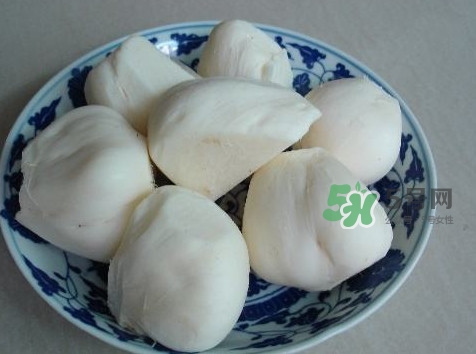 涼薯是什么東西？涼薯是地瓜嗎？