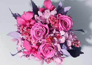joyflower是哪國品牌？joyflower怎么樣？