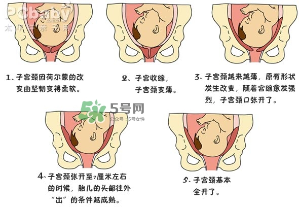 生孩子的過程是怎樣的？生孩子的真實過程