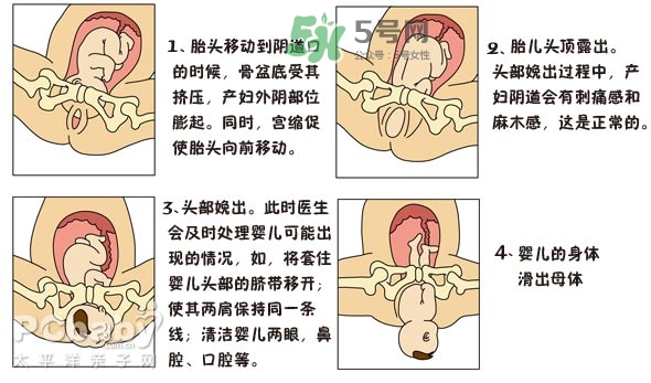 生孩子的過程是怎樣的？生孩子的真實過程