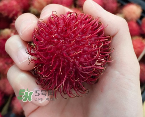 紅毛丹是什么水果？紅毛丹是熱性水果嗎？