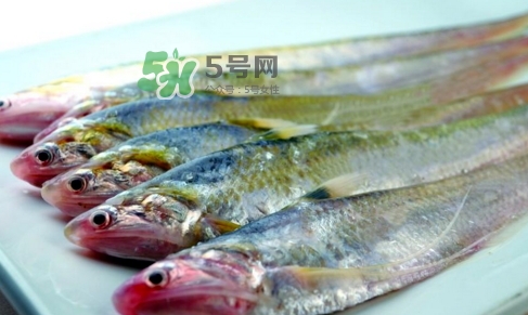 刁子魚是秋刀魚嗎？刁子魚是海魚嗎？