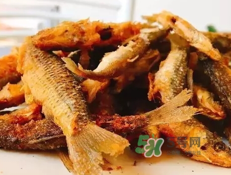 刁子魚多少錢一斤？刁子魚價格表