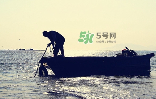 剝皮魚孕婦可以吃嗎？懷孕可以吃剝皮魚嗎？