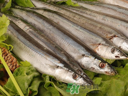 秋刀魚為什么那么便宜？秋刀魚為什么叫秋刀魚