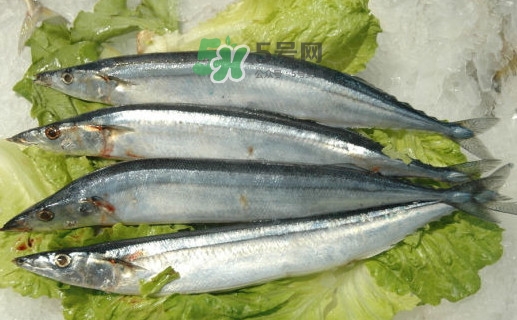 秋刀魚為什么那么便宜？秋刀魚為什么叫秋刀魚