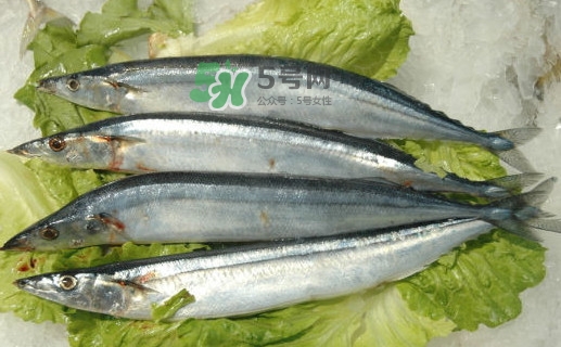 秋刀魚有魚鱗嗎？秋刀魚有寄生蟲嗎