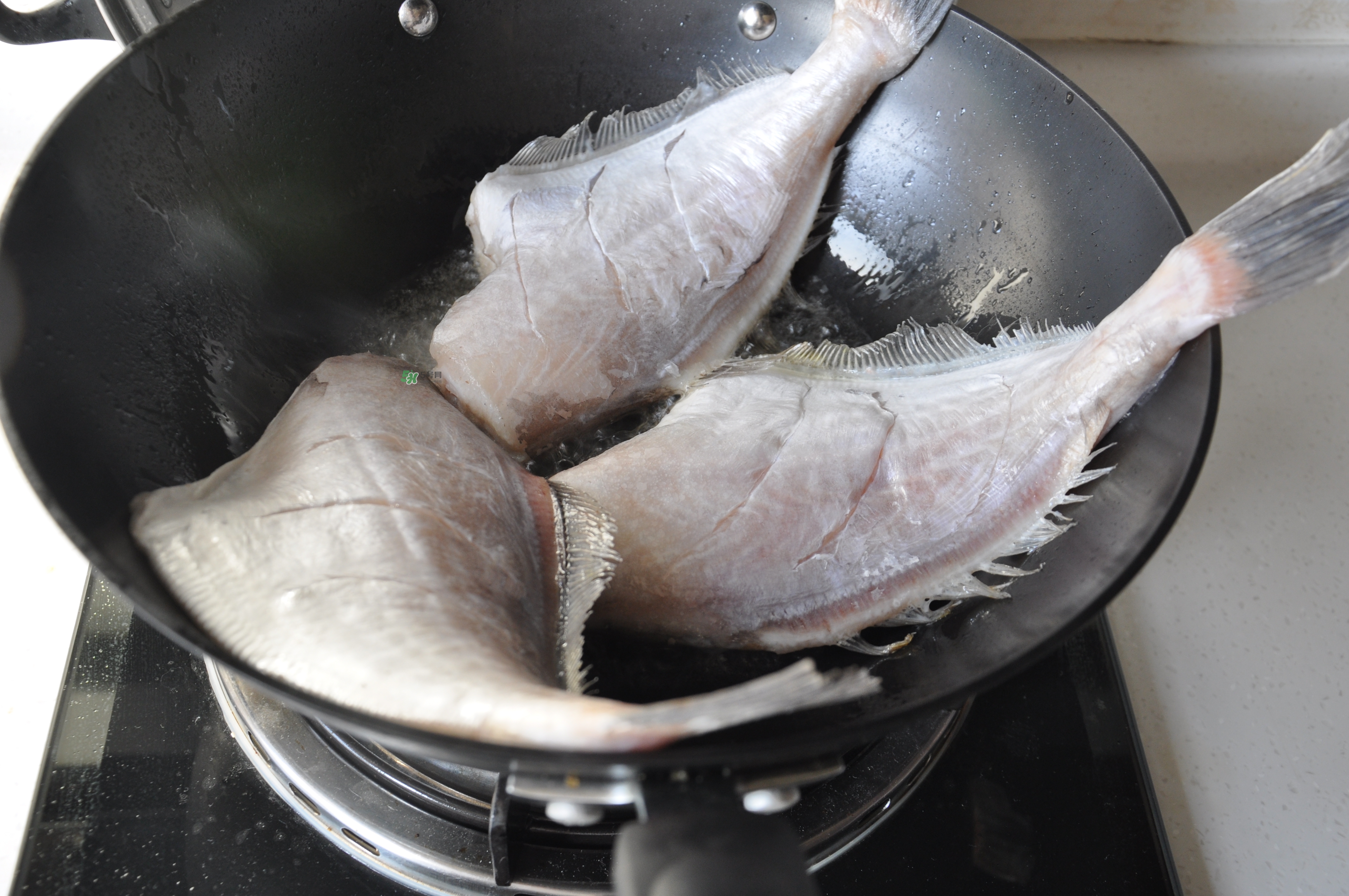 剝皮魚孕婦可以吃嗎？懷孕可以吃剝皮魚嗎？