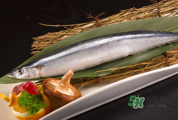 秋刀魚是不是鲅魚？秋刀魚和鲅魚的區(qū)別