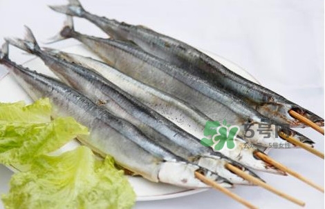 秋刀魚是海魚嗎？秋刀魚是淡水魚還是海魚