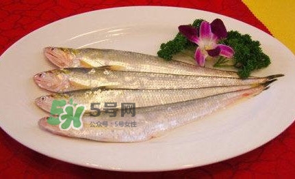 秋刀魚是刀魚嗎？秋刀魚和刀魚的區(qū)別