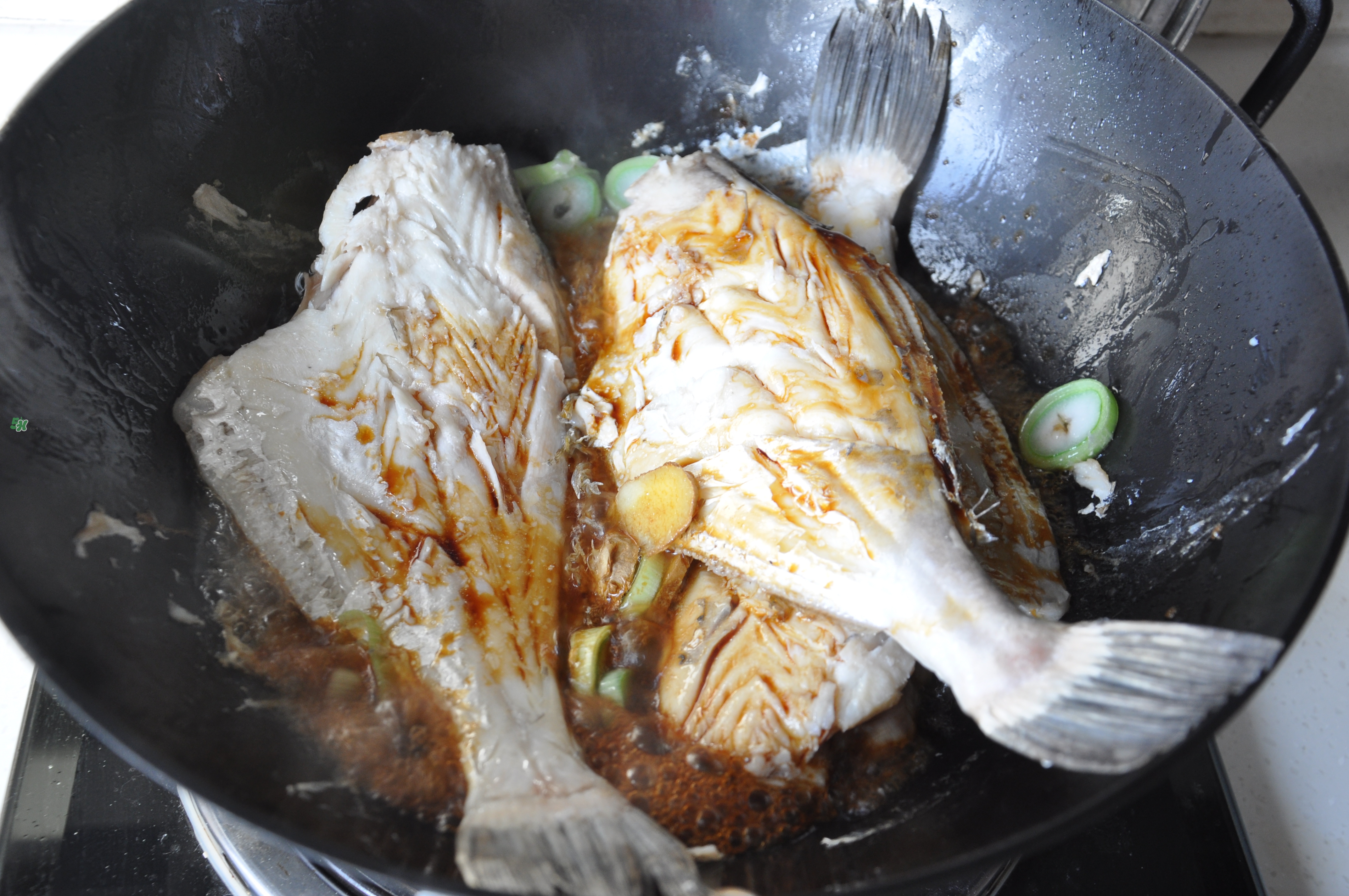 剝皮魚孕婦可以吃嗎？懷孕可以吃剝皮魚嗎？