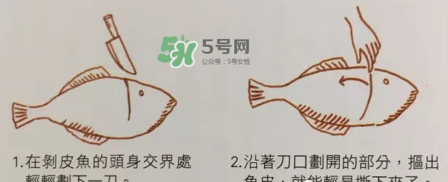 剝皮魚為什么要剝皮？剝皮魚的皮有毒嗎？
