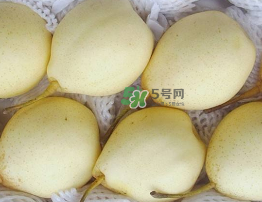 雪花梨是雪梨嗎？雪花梨和雪梨的區(qū)別
