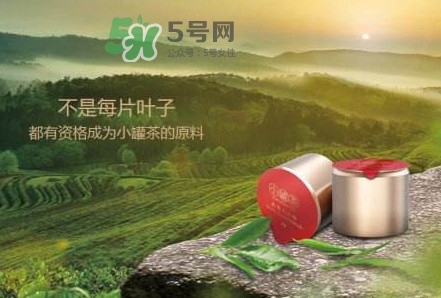 小罐茶是什么茶？小罐茶是哪八種茶？