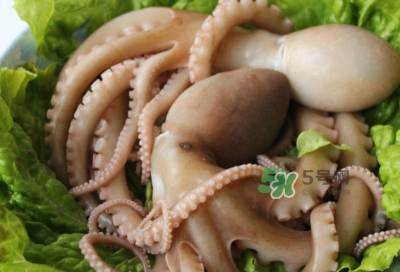 八爪魚(yú)的頭能吃嗎？八爪魚(yú)的頭里面是什么