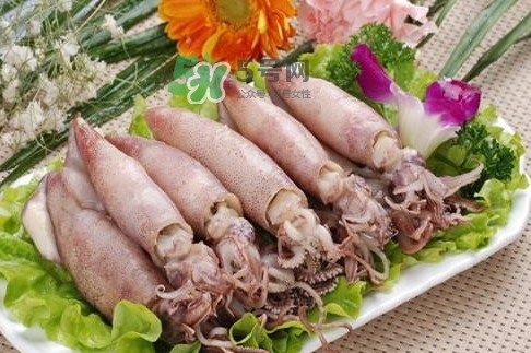 筆管魚怎么做好吃？筆管魚有什么營養(yǎng)