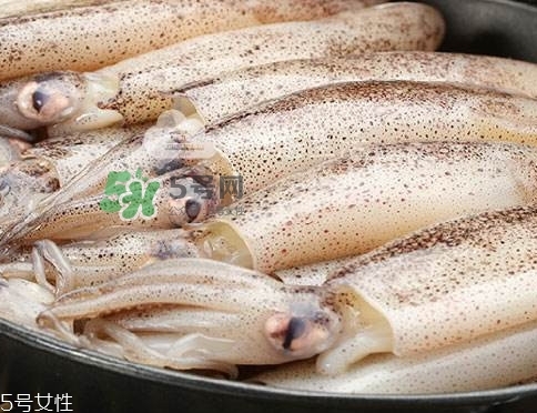 海兔子是什么？海兔子是墨魚嗎