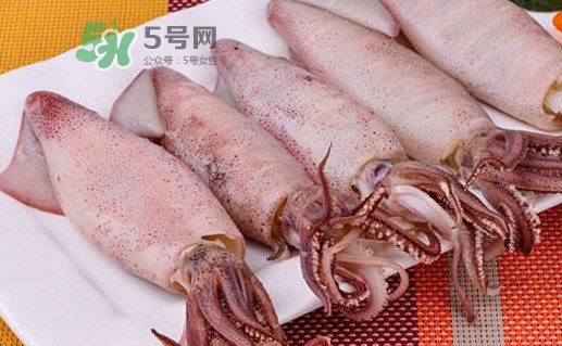 海兔子是小魷魚嗎？海兔子和魷魚的區(qū)別
