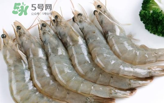 厄瓜多爾蝦是海蝦嗎？厄瓜多爾蝦好吃嗎？