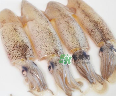 筆管魚(yú)是什么魚(yú)？筆管魚(yú)怎么吃