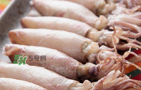 海兔子是小魷魚嗎？海兔子和魷魚的區(qū)別