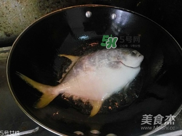 金鯧魚是海魚嗎？金鯧魚的刺多嗎？