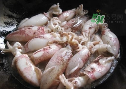 筆管魚是魷魚嗎？筆管魚和魷魚的區(qū)別