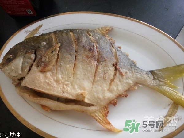 金鯧魚是海魚嗎？金鯧魚的刺多嗎？