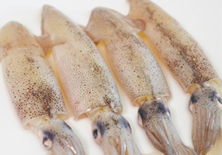 筆管魚是什么魚？筆管魚怎么吃
