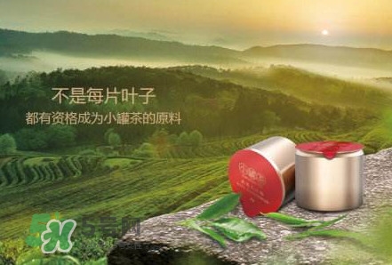 小罐茶怎么樣？小罐茶真的有那么好么